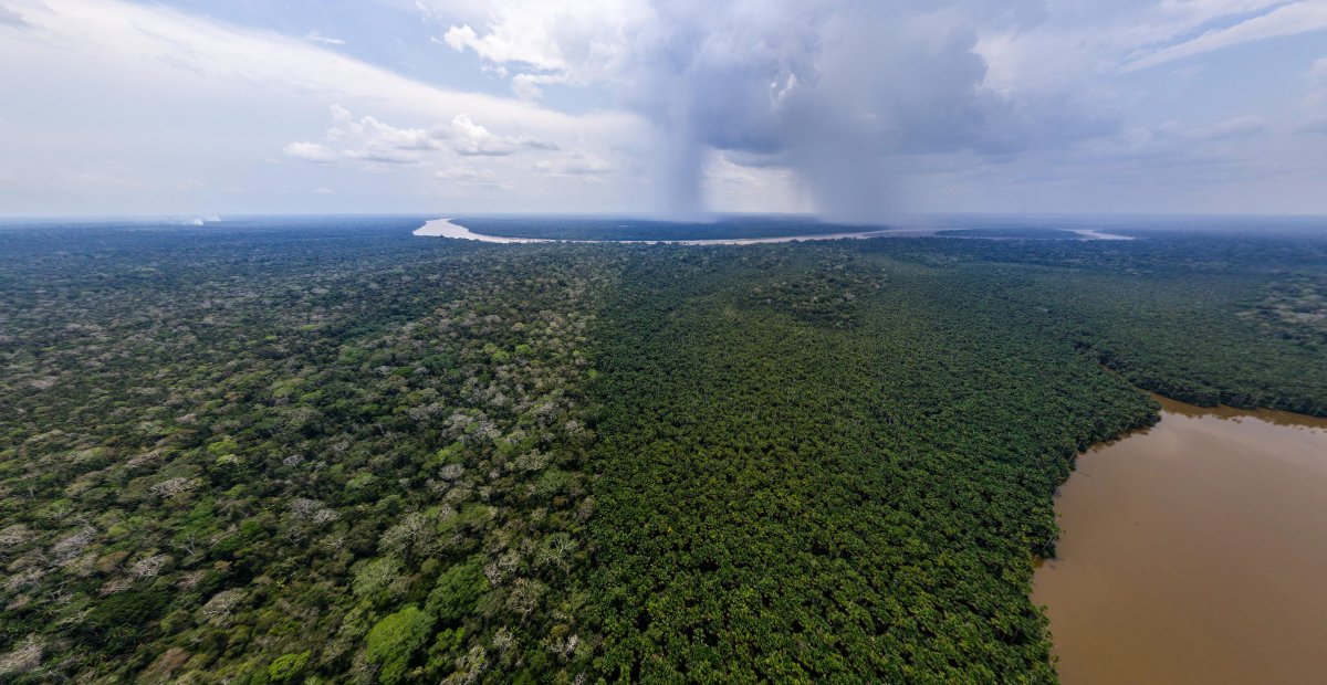 ANDEAN - AMAZONIA | AMAZONIA